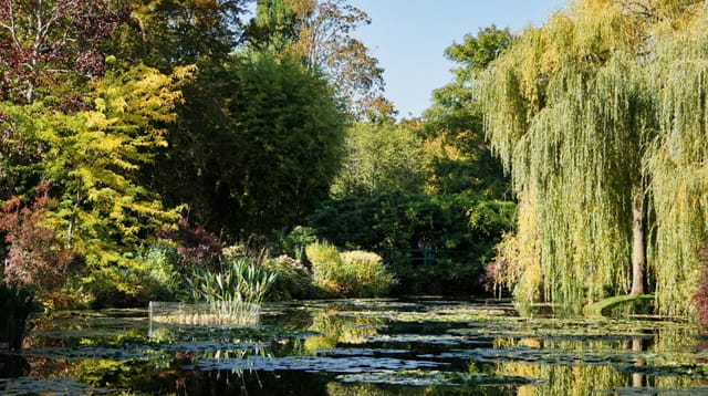 Giverny com motorista brasileiro